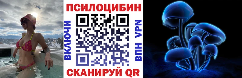 мега как зайти  Новая Ляля  Галлюциногенные грибы Psilocybe  закладка 