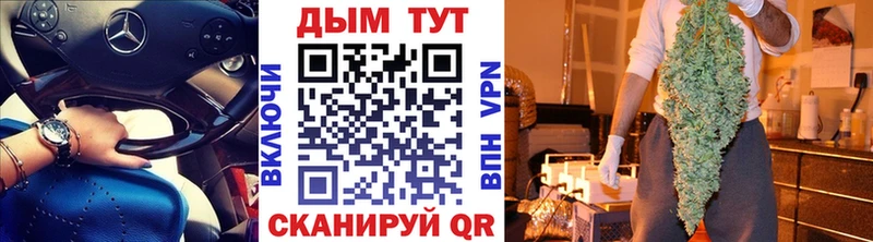 Шишки марихуана SATIVA & INDICA  как найти наркотики  Новая Ляля 